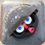 Profile picture of uferrandzonengewaechs